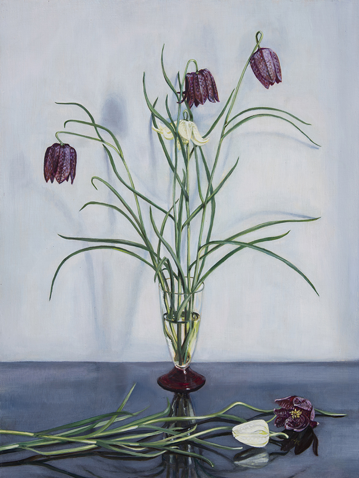 Schachbrettblumen