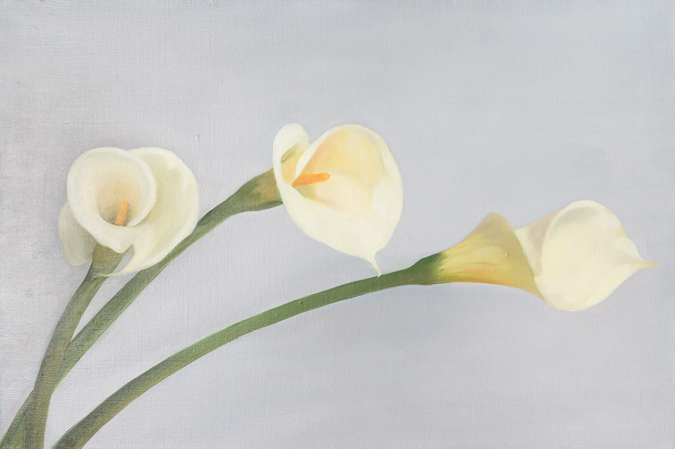 Calla