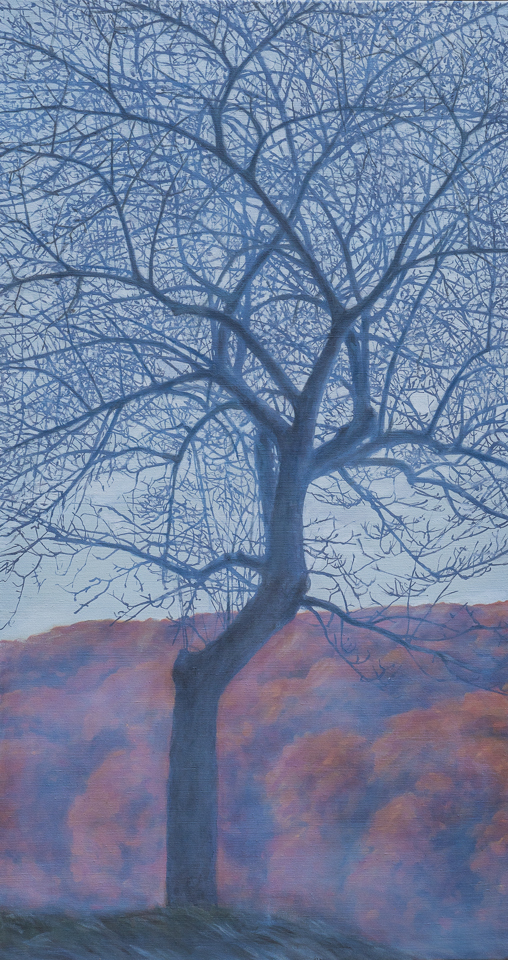 Baum im Spätherbst